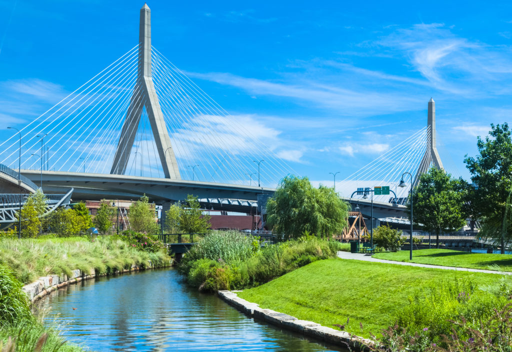 A person walking on grass near the water.