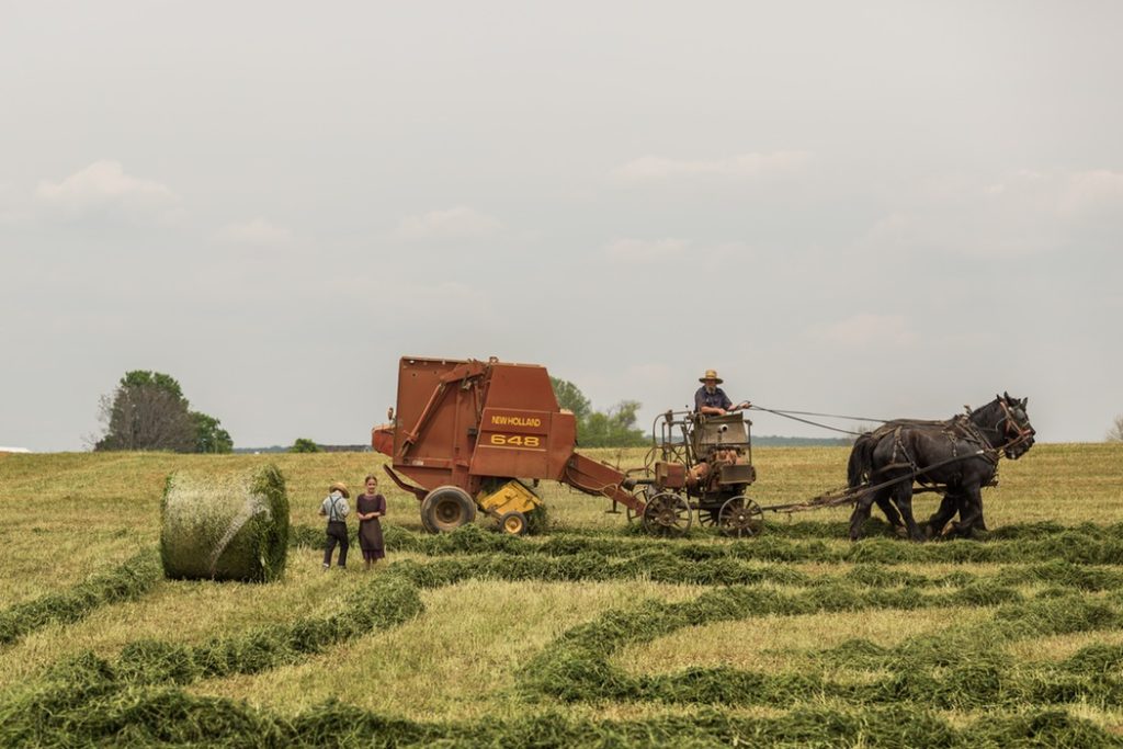 A man in an orange tractor pulling hay.
