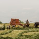 A man in an orange tractor pulling hay.
