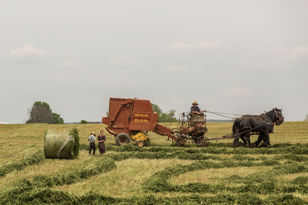 A man in an orange tractor pulling hay.