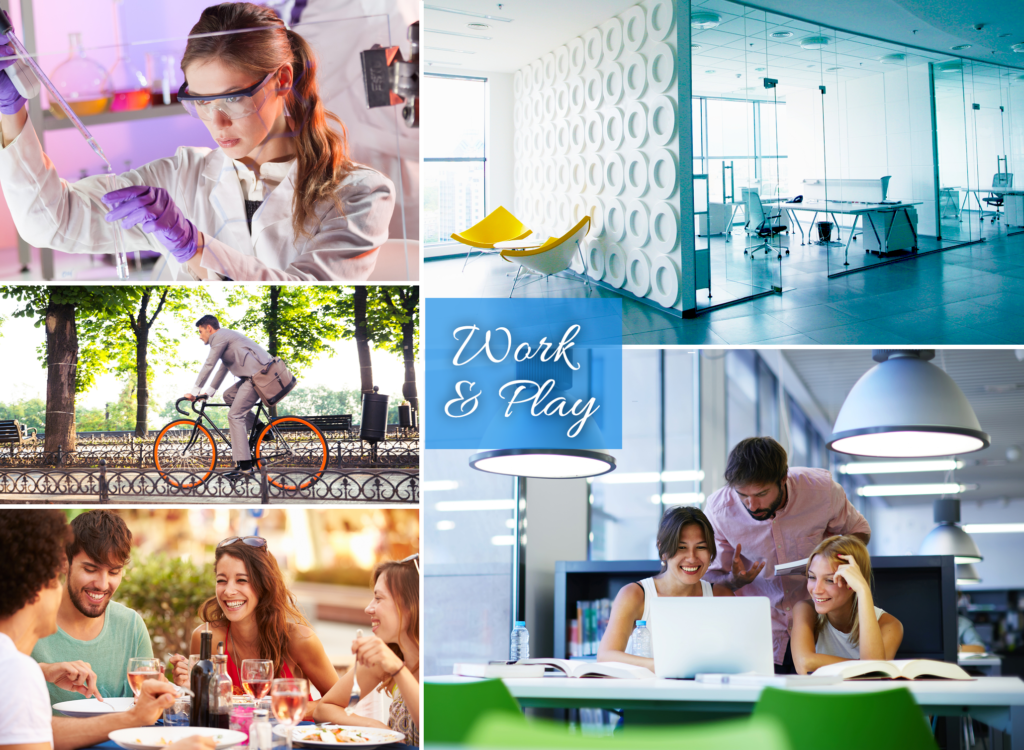 A collage of different people working in an office.