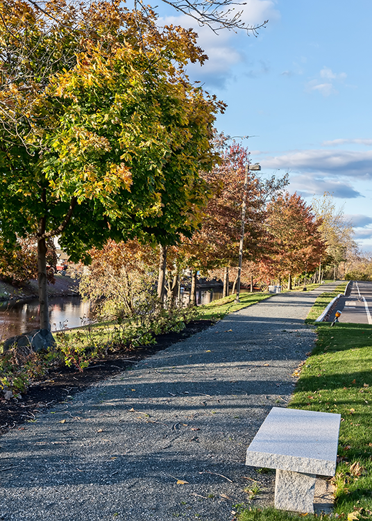 A paved path with trees along the side of it