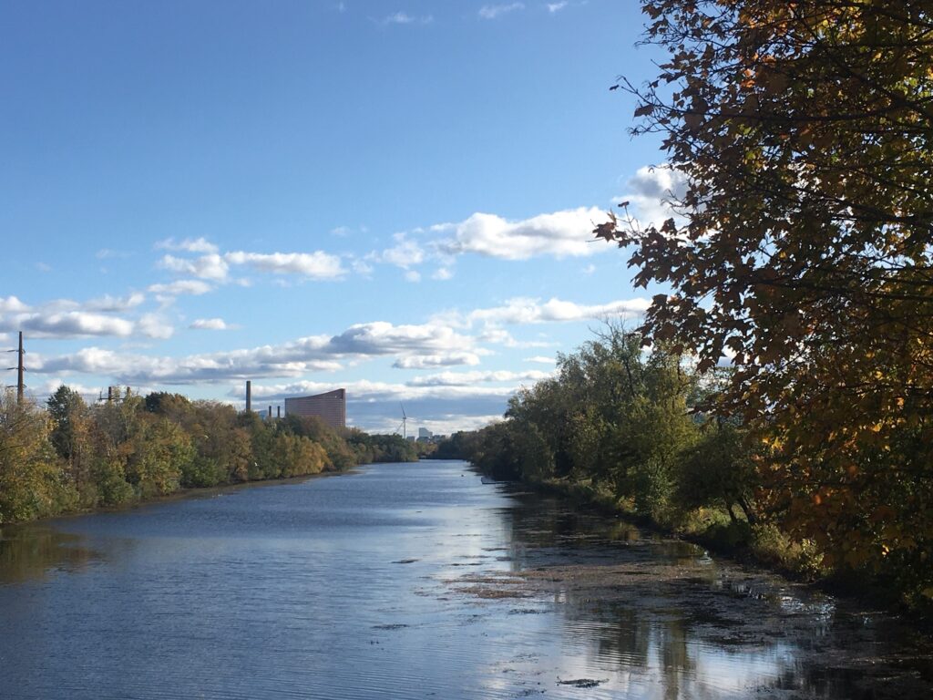 A river with trees and buildings in the background.