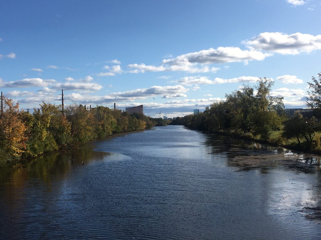 A river with trees and buildings in the background.