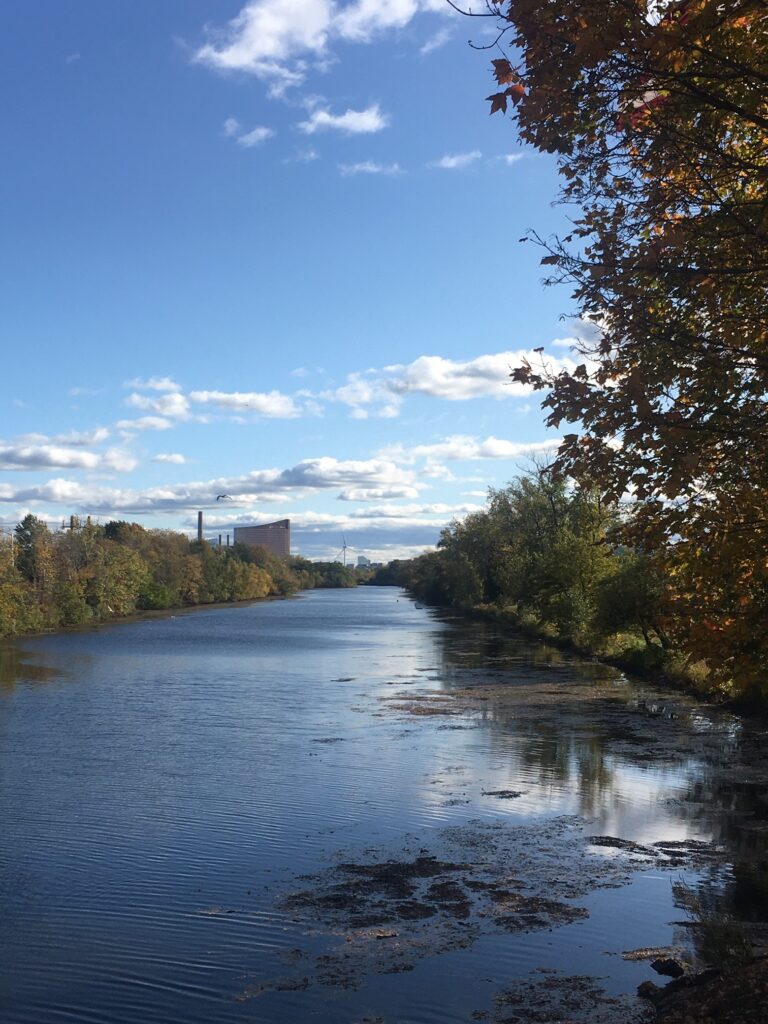 A river with trees in the foreground and buildings in the background.